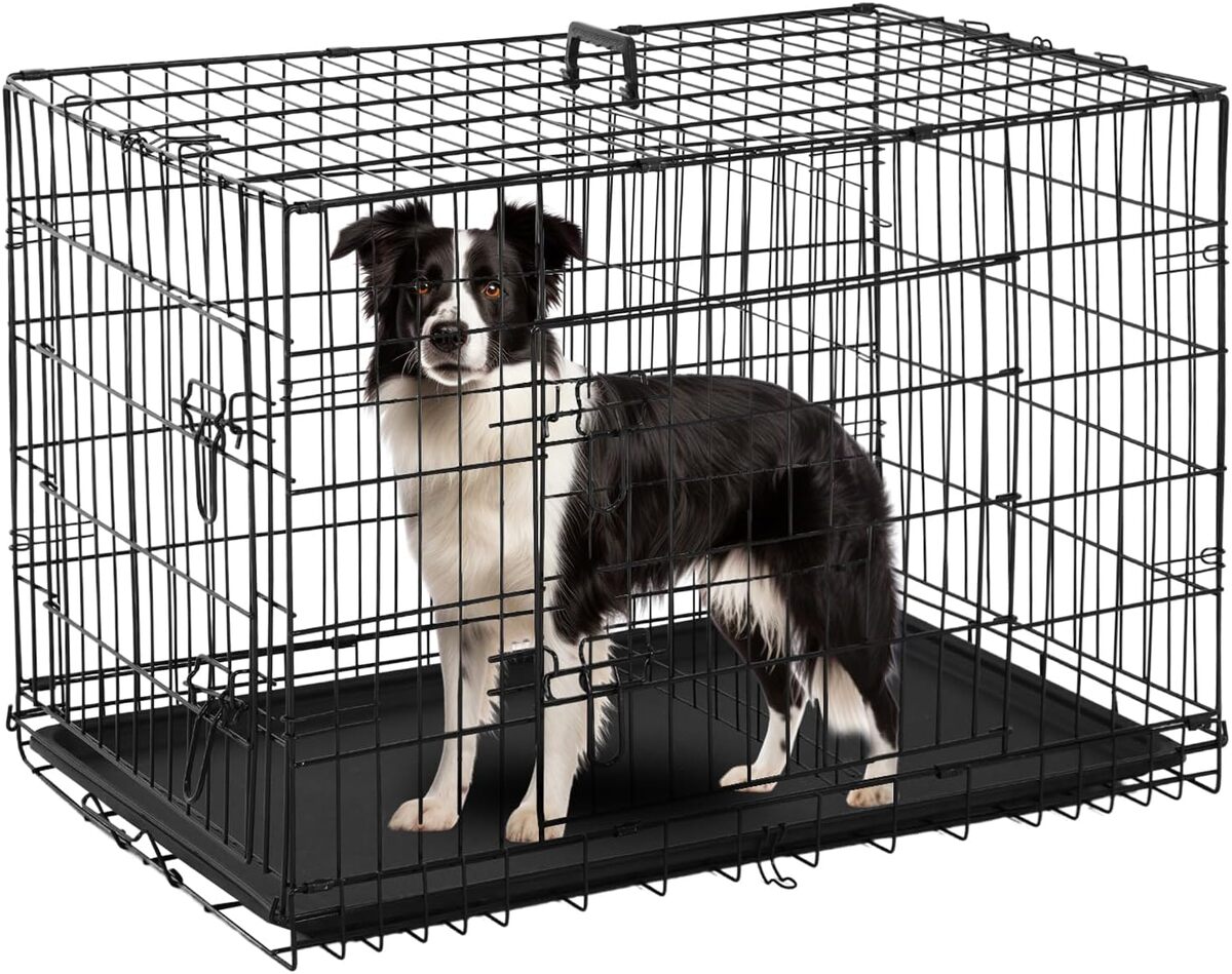 Test : cage pliable FDW pour chien et autres animaux