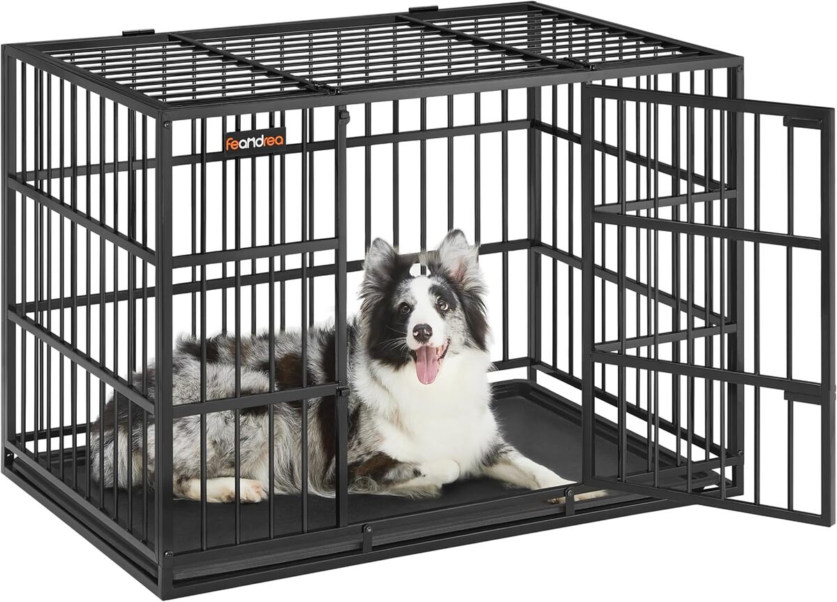 Test de la cage ultra-résistante Feandrea PPD005B01 pour chiens