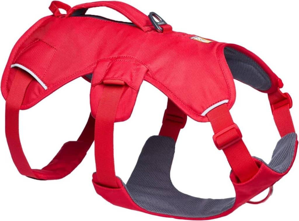 Test du harnais Ruffwear Web Master Red Canyon : confort et sécurité