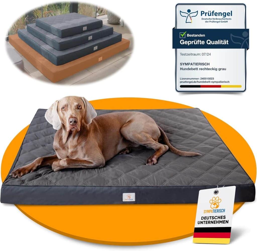 Test du lit orthopédique étanche pour chien de toutes tailles