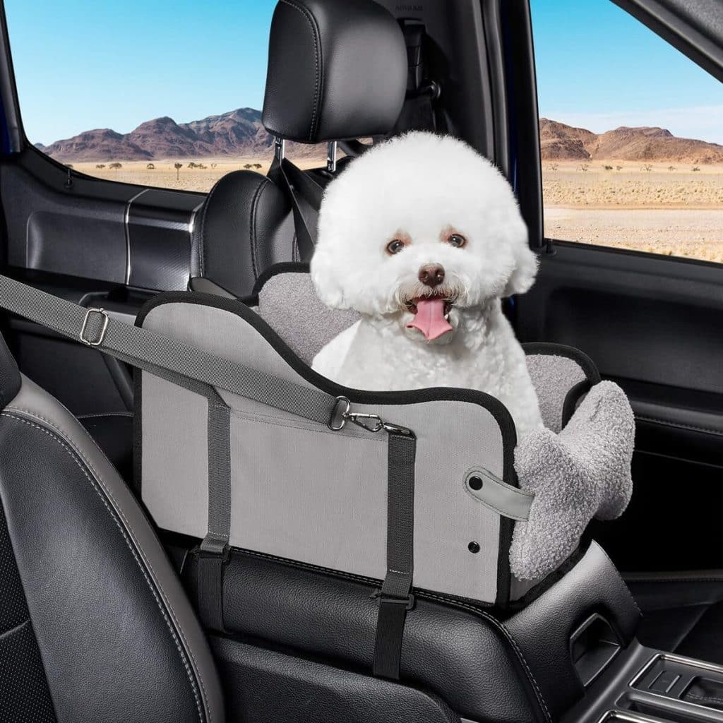 Test du siège auto TKYZ pour petits animaux : confort et sécurité