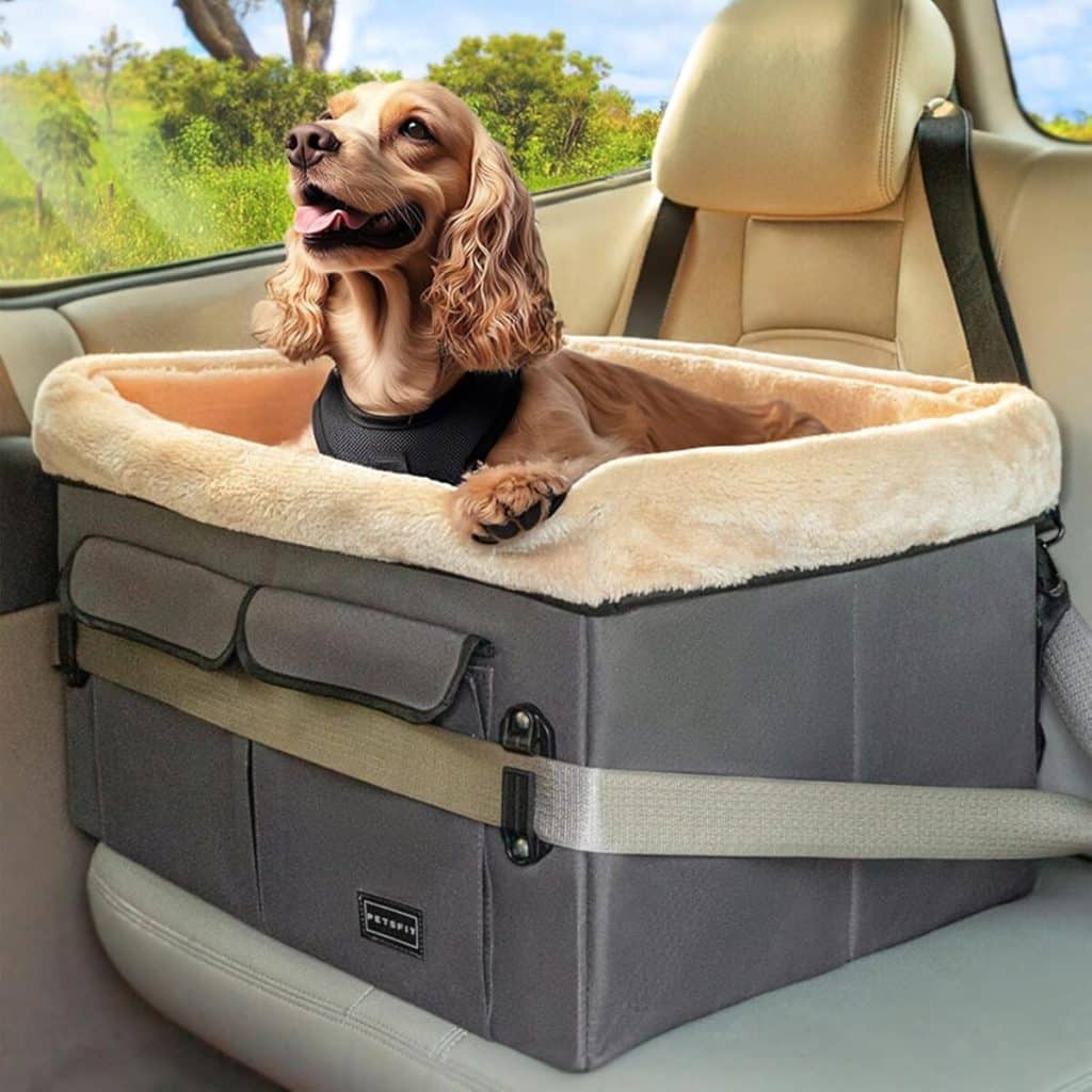 Test du siège voiture Petsfit pour chiens moyens ou deux petits