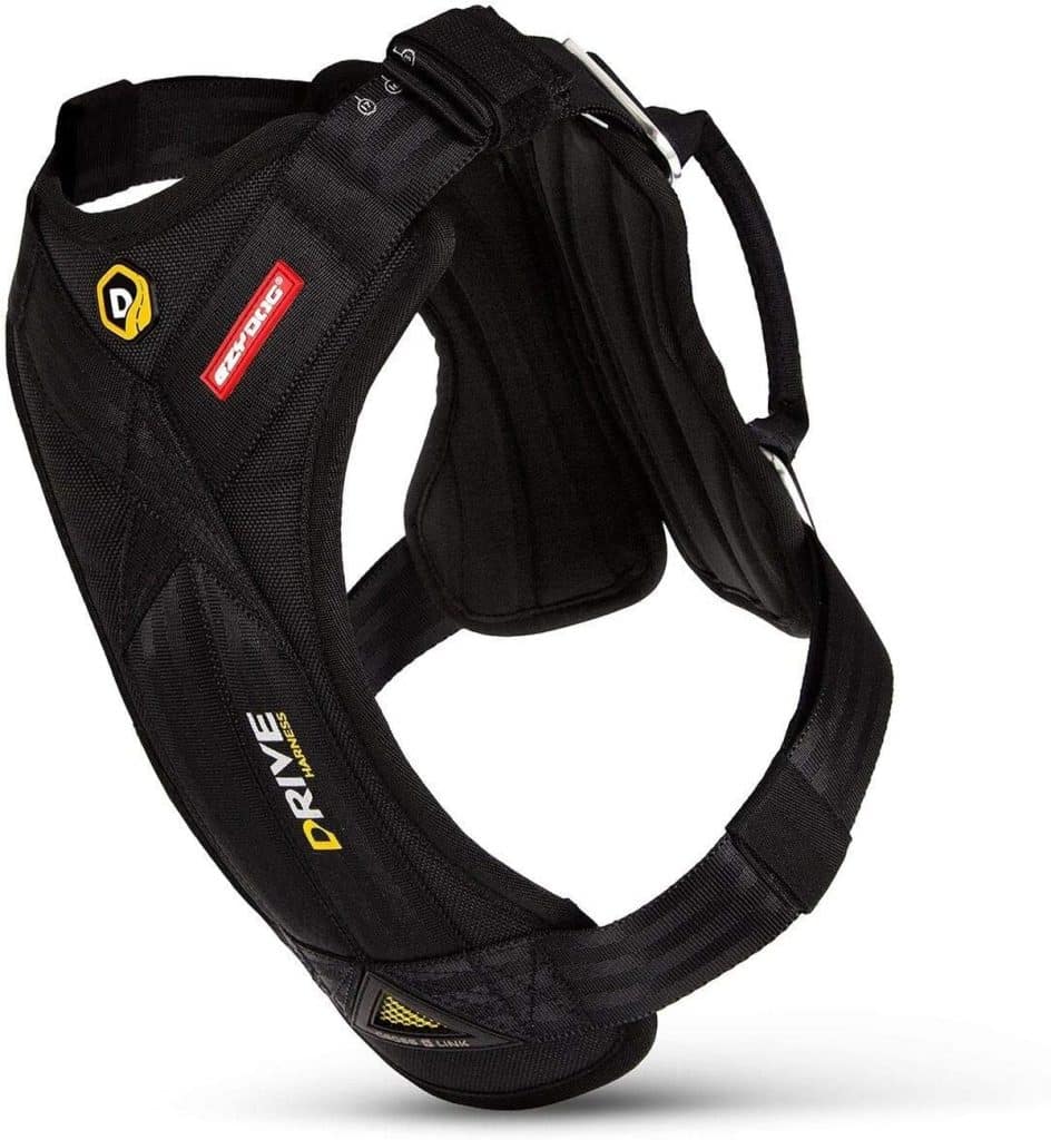 Test harnais de sécurité EzyDog Drive pour chien