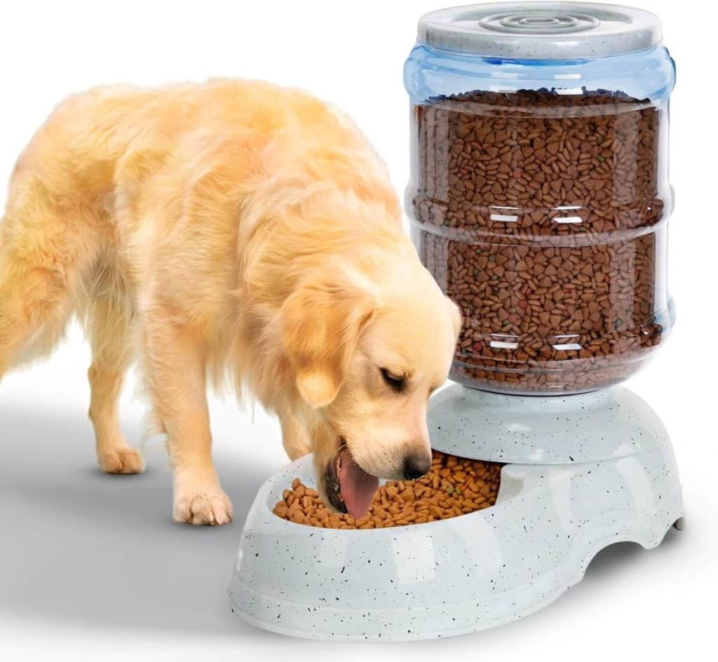 Test : mangeoire automatique pour chiens 11 litres kenond