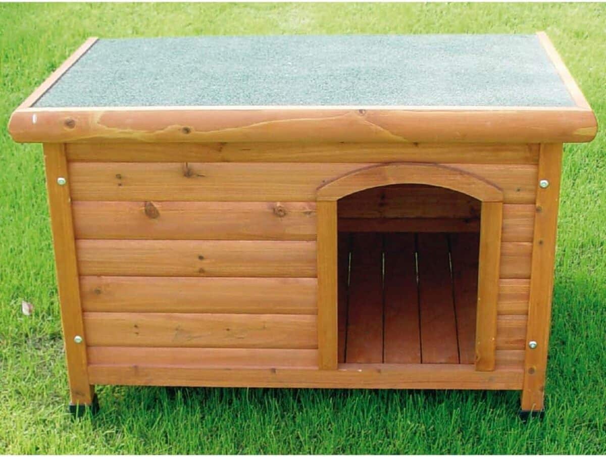 Test : niche Shelter S de Croci pour votre compagnon