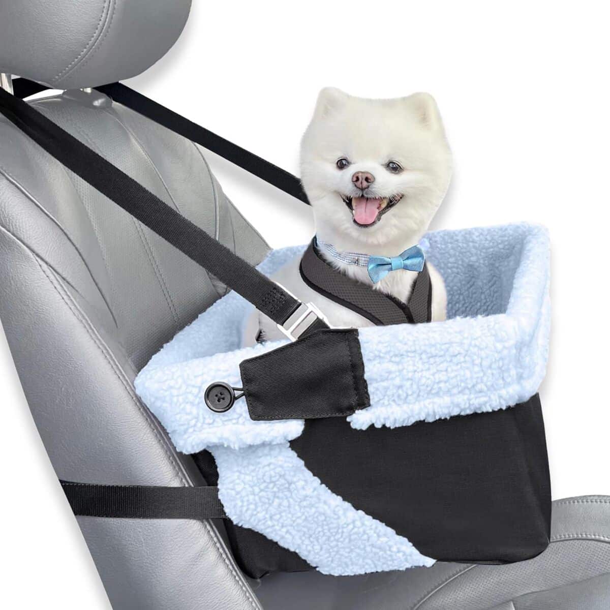 Test : siège auto bleu pour chiens petits et confortables