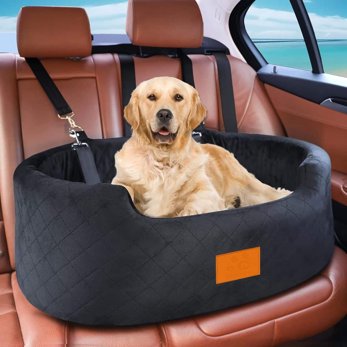 Test : siège auto chien Median komfort