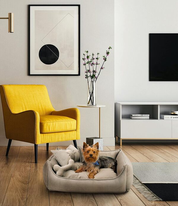NELKE Canapé pour Chien Beige Style Scandinave - Lit de Qualité Supérieure pour Chiens de Taille Moyenne et Petite - Coussin Anti-Stress - Fauteuil