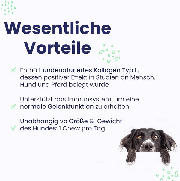 Vetoquinol Flexadin Advanced Antioxydant pour Chien 60 Bouchées