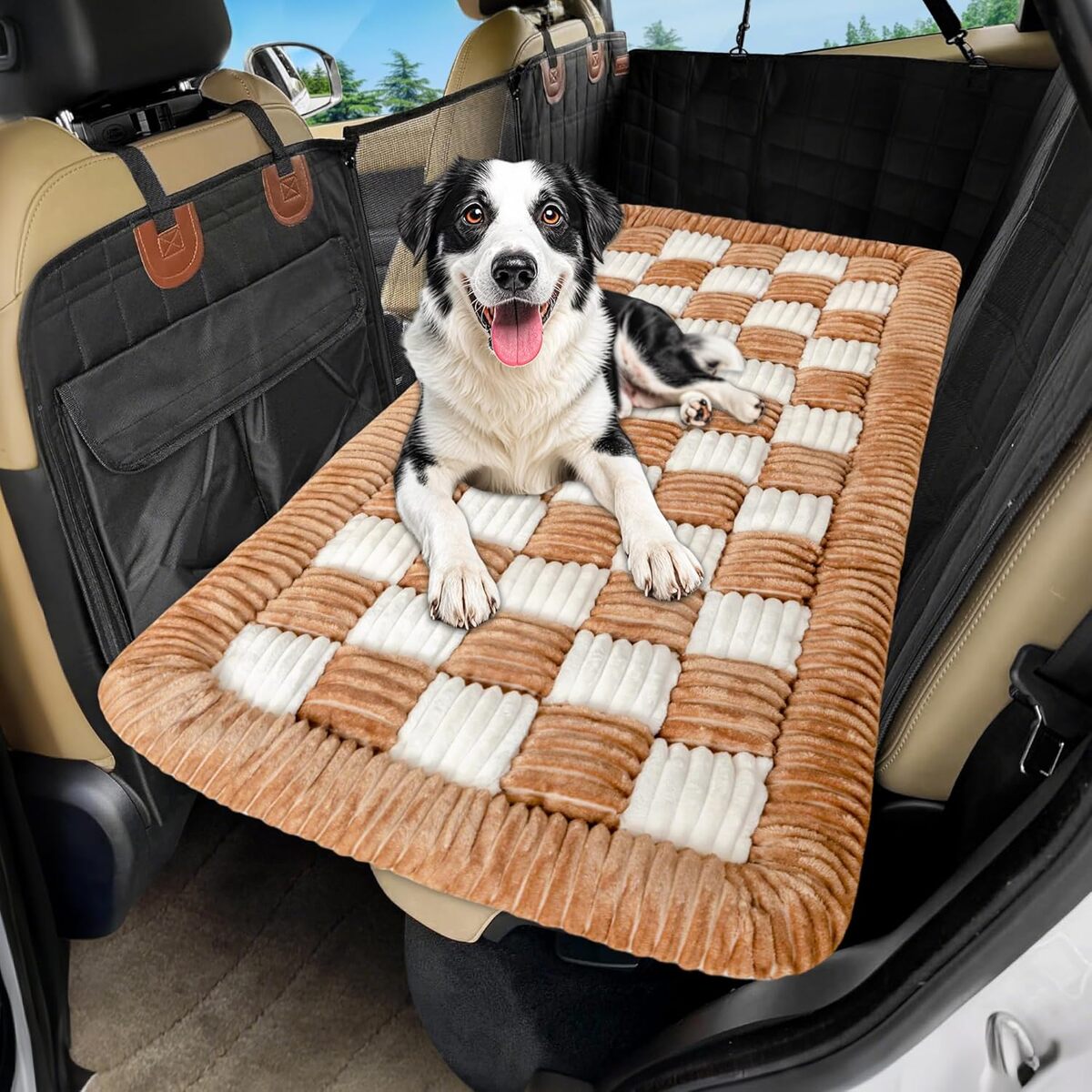 Essai : panier Loiion pour transporter son chien en voiture