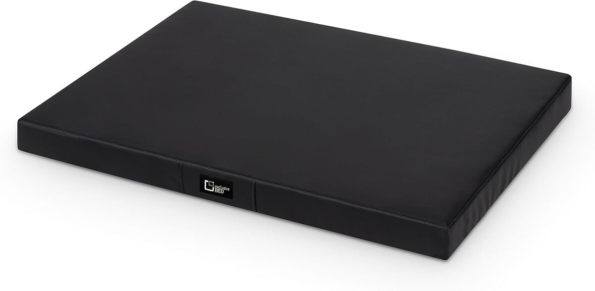 Test : coussin pour chien Tina en cuir écologique (XXL, noir)