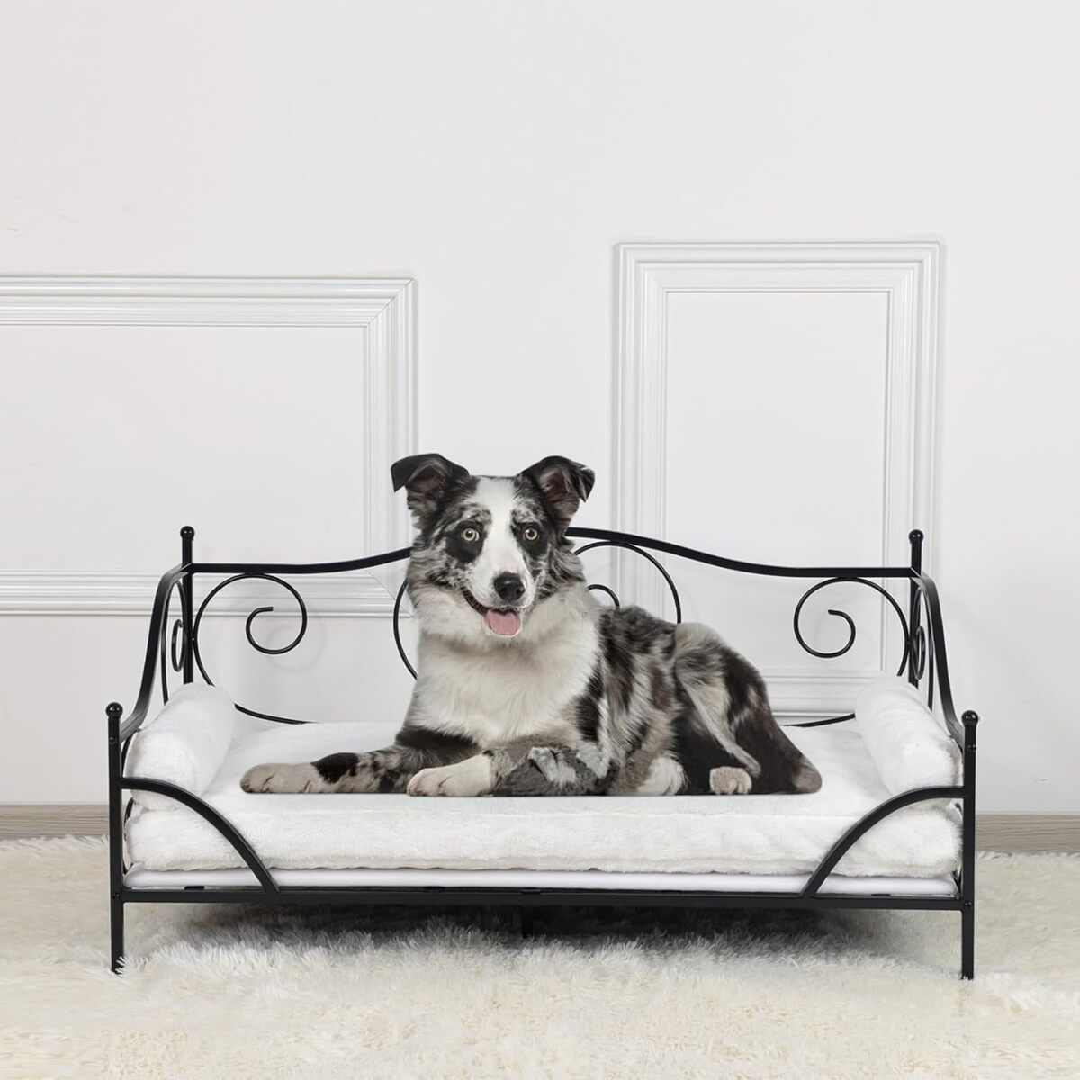 Test du canapé lit pour animaux de compagnie en métal et coussin lavable (noir)