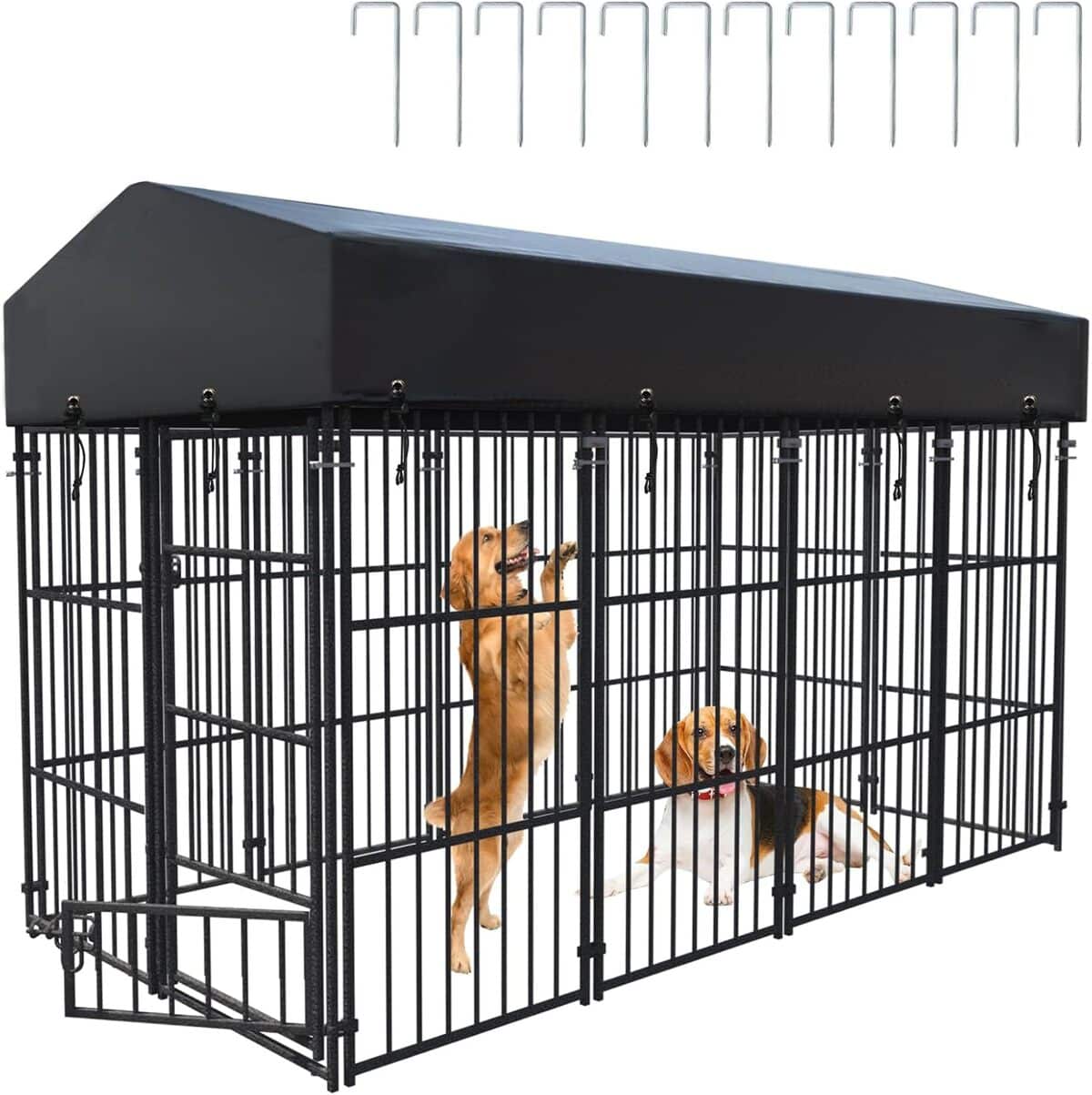 Test du chenil BingoPaw : enclos grand format pour chien