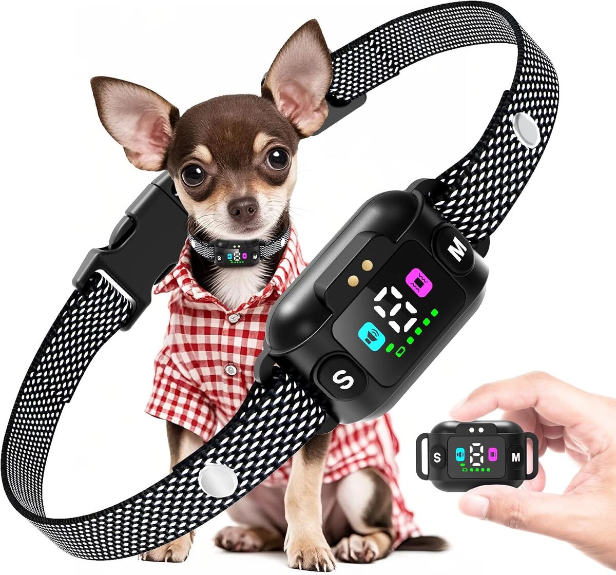 Test du collier anti-aboiement Feycig : efficace et rechargeable