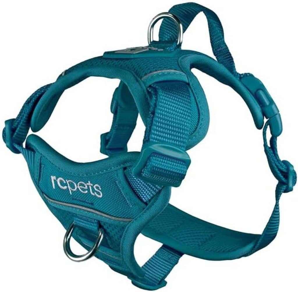 Test du harnais bleu sarcelle RC Pet Products taille XL pour chien