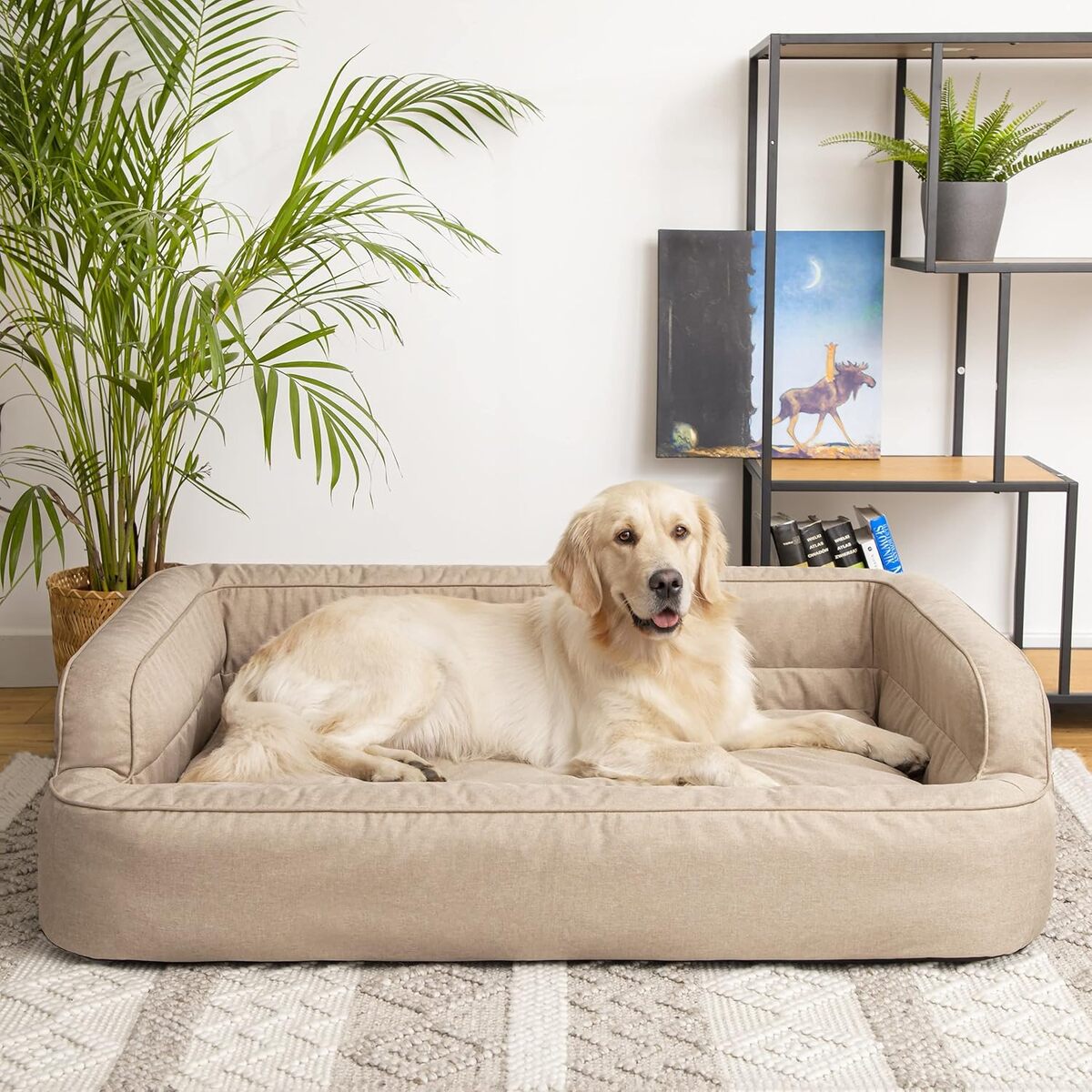 Test du panier PillowPrim XL pour animaux : confort et élégance