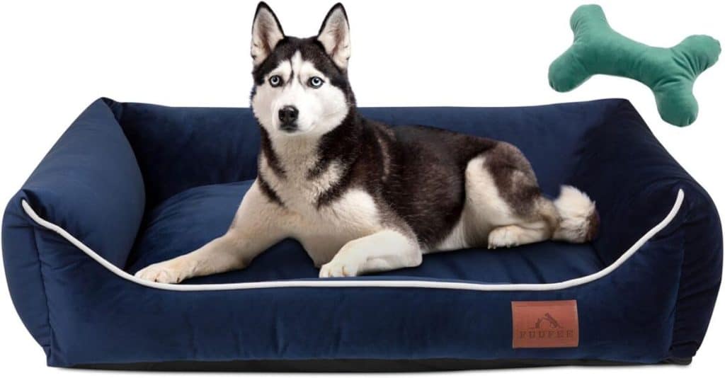 Test du panier pour chien FUUFEE : confort et praticité au rendez-vous