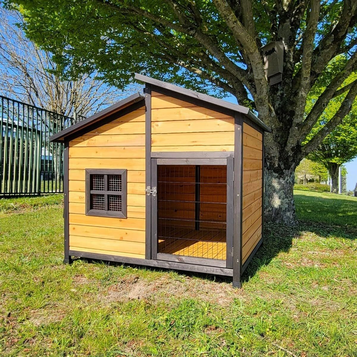 Test : niche Malinois XL avec porte grillagée et fenêtre