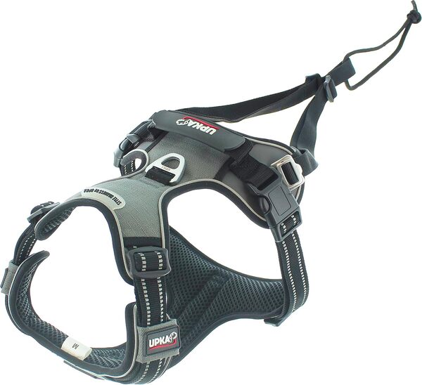 Harnais Chien Style Polyvalent idéal pour Les promenades en Campagne et Les balades citadines, avec possibilité de cani Jogging et Anneau Anti Traction Avant Couleur Gris, I-DOG Marque Française. (M)