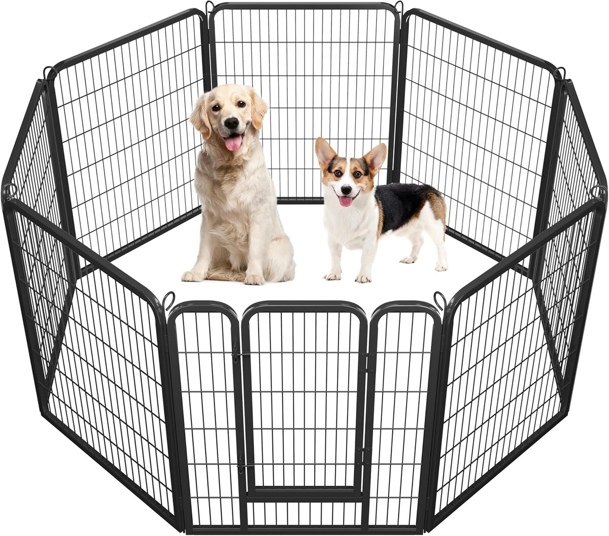 Test de l'enclos à 8 panneaux Yaheetech pour petits animaux