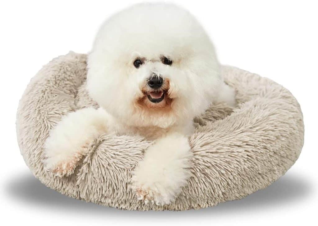Test du lit rond ANWA beignet 91, 4 cm - confort optimal pour chiens