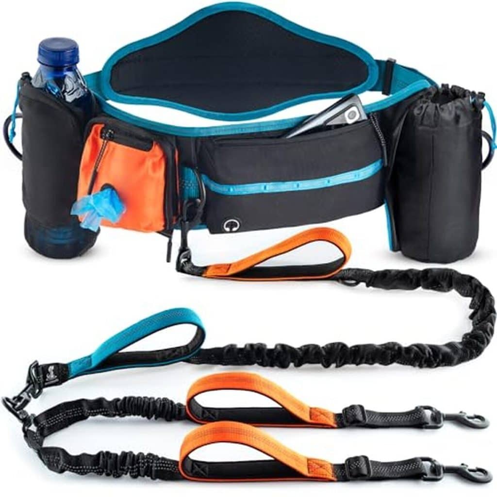 Test laisse dorsale SparklyPets : jogging avec deux chiens et sac pratique