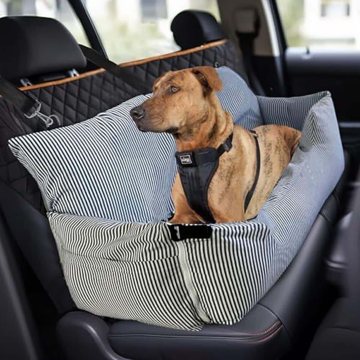 Test : siège auto BNCKTRD extra large et imperméable pour chien