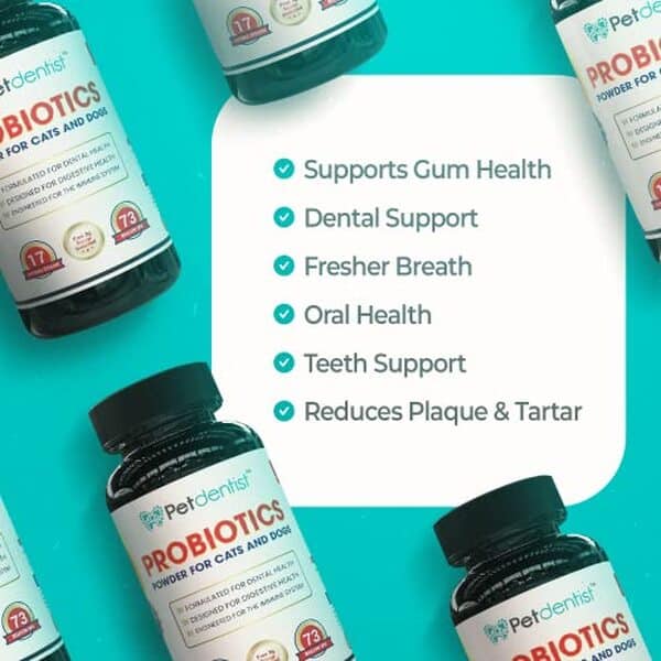 Découvrez l'efficacité des probiotiques Petdentists à 17 souches pour améliorer la santé digestive et dentaire de votre animal.
