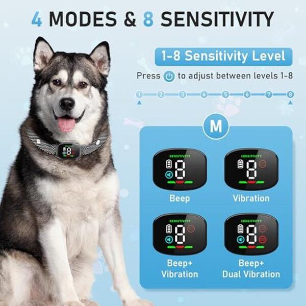 Découvrez notre test du collier anti-aboiement rechargeable IP67 multirace : efficacité, fonctionnalités et bienfaits pour votre chien