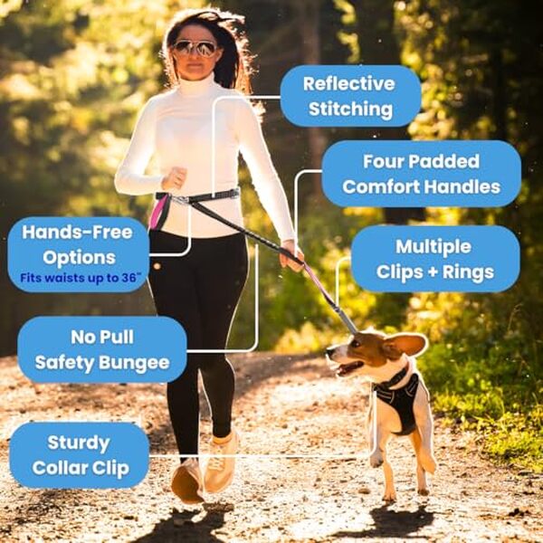 Découvrez notre avis complet sur la laisse anti-traction Leashrr 2.0 : innovations, confort et résistance pour des promenades en toute sérénité