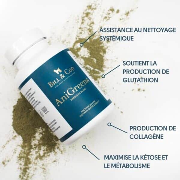 Découvrez comment bill et coo anigreens optimise la digestion animale pour un bien-être amélioré et des bénéfices augmentés