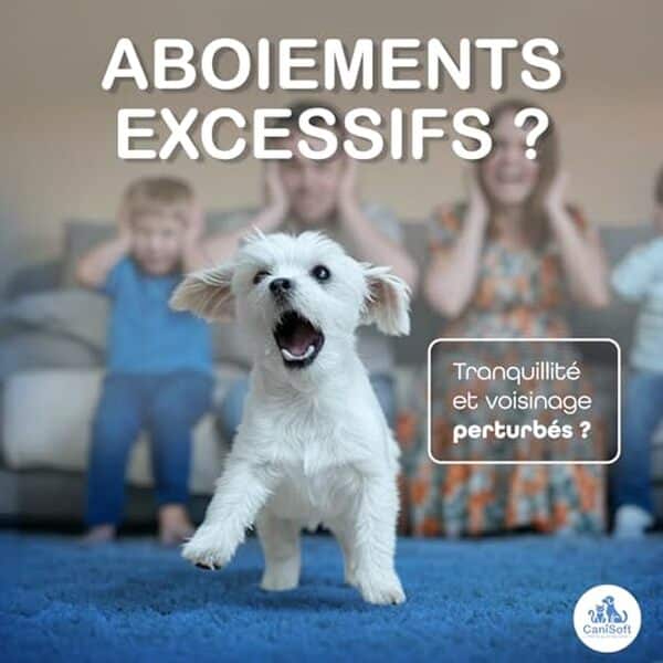 Découvrez l'efficacité du collier anti-aboiement vibrant et intelligent conçu pour les petits chiens, ses fonctionnalités innovantes et notre avis complet pour trouver la solution adaptée à votre compagnon à quatre pattes.