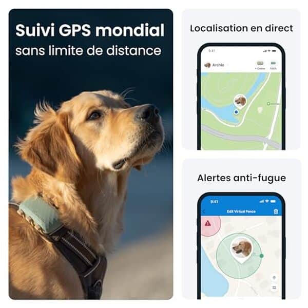 Découvrez notre analyse détaillée du collier GPS Tractive XL : localisation mondiale précise, fonctionnalités de santé améliorées et alertes pratiques pour le bien-être de votre compagnon.