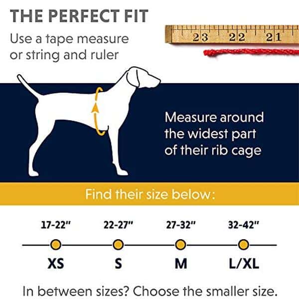 Découvrez le harnais Doubleback Ruffwear taille M : ajustement sur mesure pour le confort et la sécurité de votre chien lors de vos aventures en pleine nature