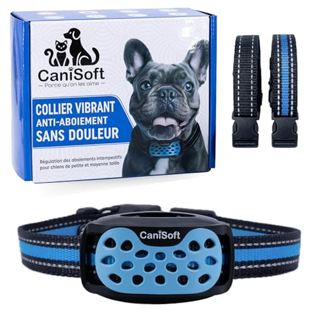 Test : collier anti-aboiement vibrant et intelligent pour petits chiens