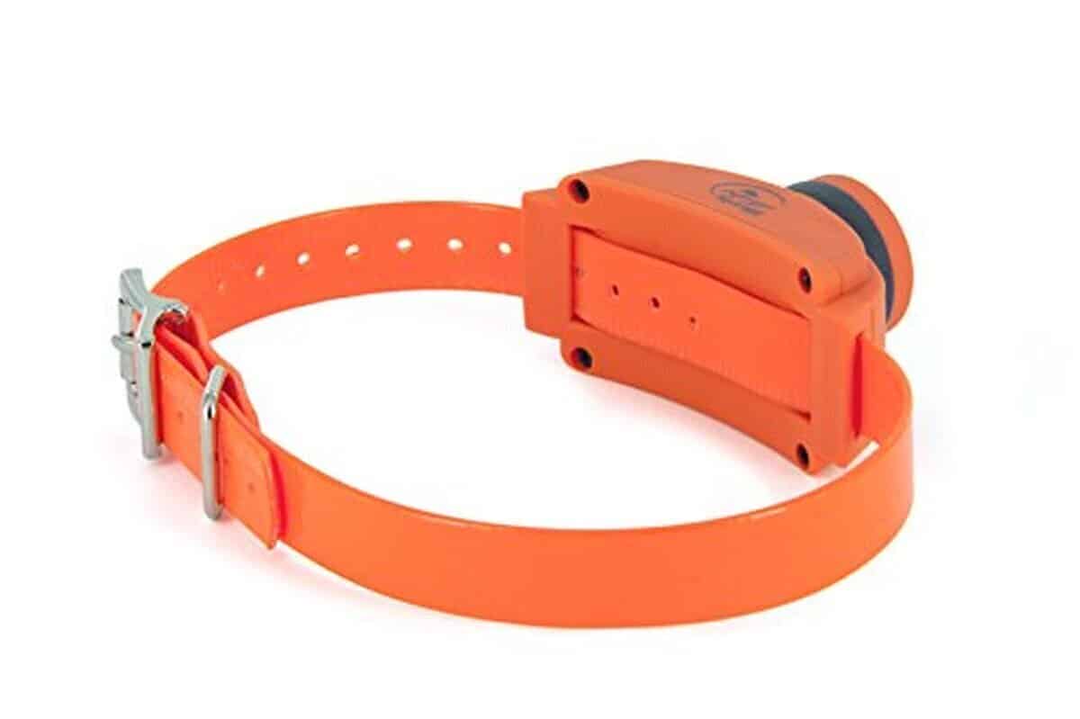 Test collier SportDOG beeper pour chien 100h autonomie