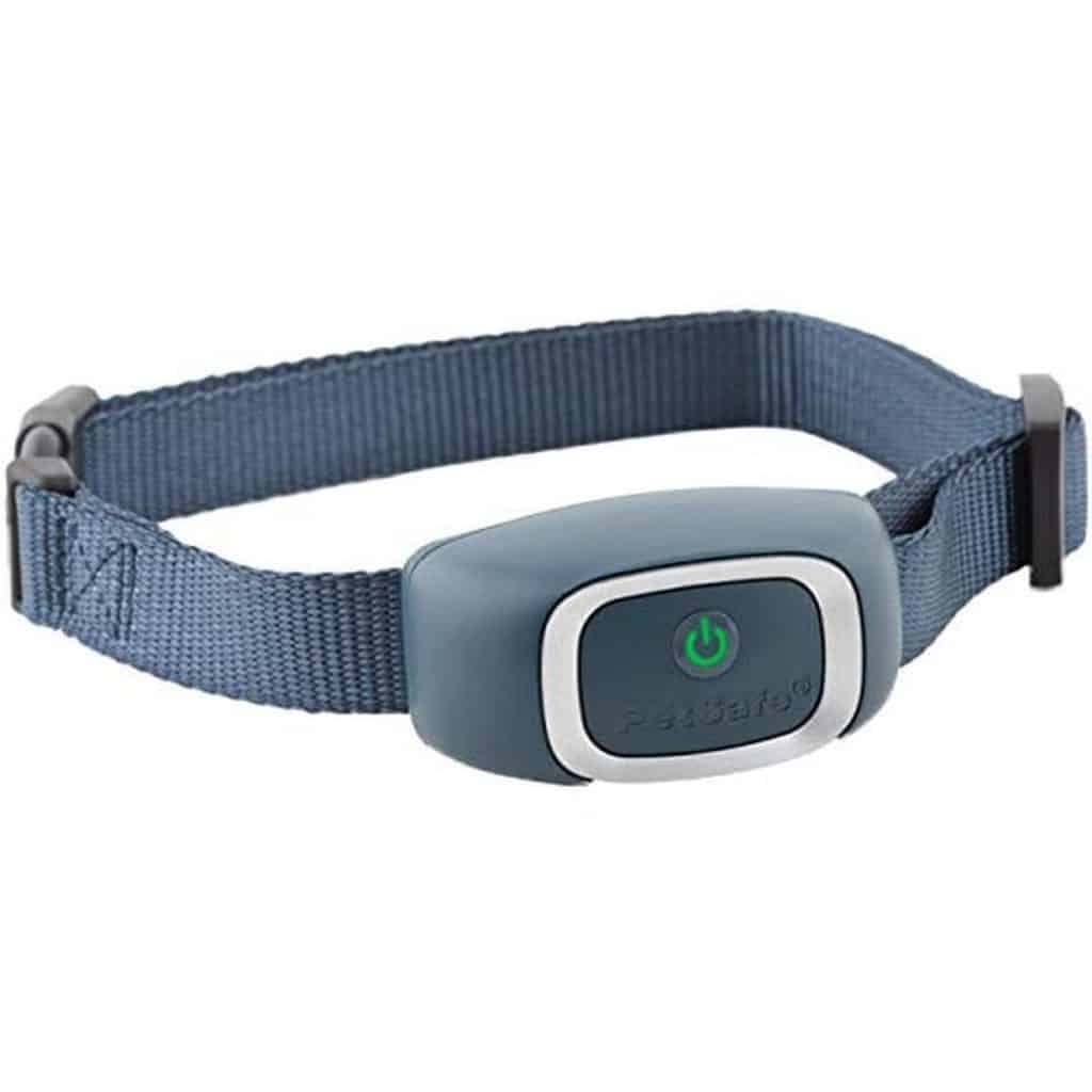 Test du collier anti-aboiement Petsafe Bark Control Deluxe