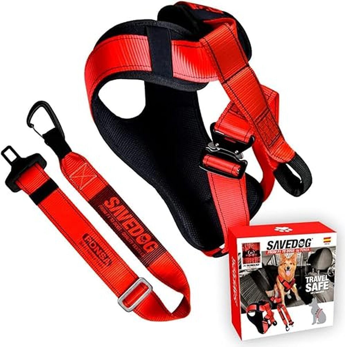 Test du harnais SAVEDOG avec ceinture : sécurité optimale pour chien en voiture