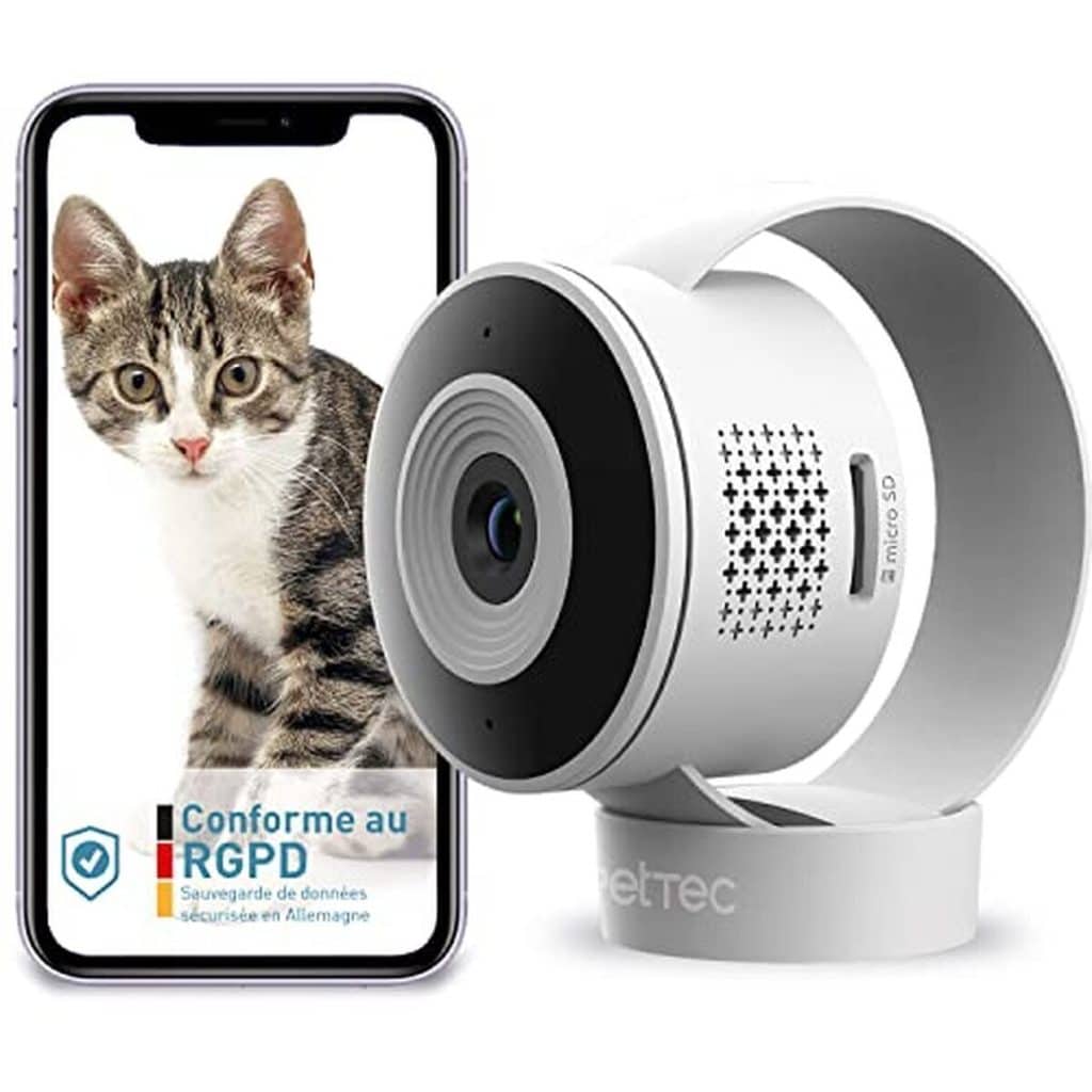 Test PetTec Cam Lite : caméra animaux de compagnie sans abonnement