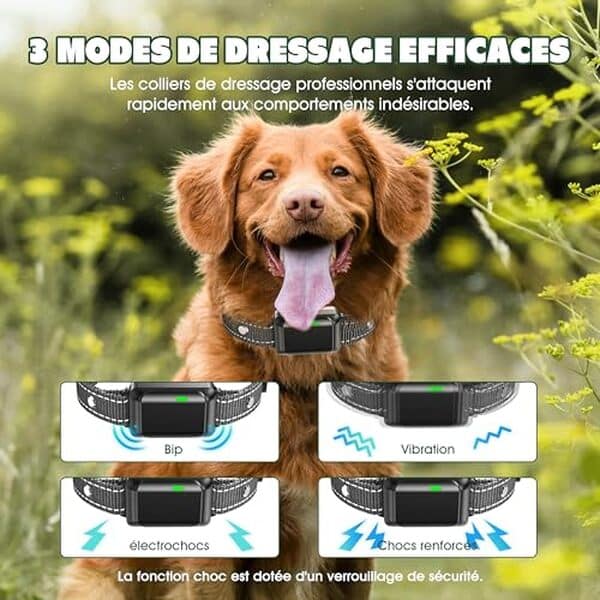 Découvrez notre avis complet sur le collier anti-aboiement noir avec télécommande : efficacité, caractéristiques et conseils d'utilisation pour un dressage réussi