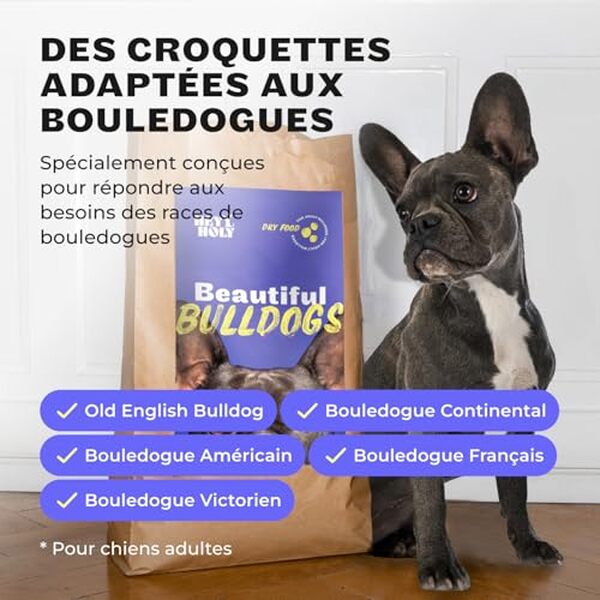 Découvrez notre avis détaillé sur les croquettes sans céréales Hey Holy, spécifiquement formulées pour les bouledogues adultes. Analyse approfondie et conseils pour bien choisir