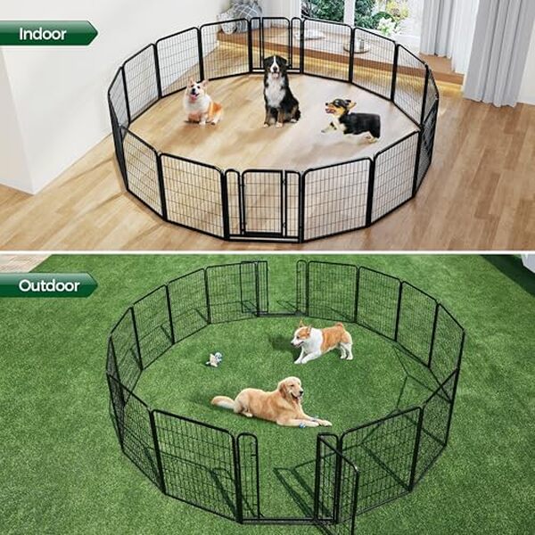 Découvrez notre évaluation détaillée de l'enclos Abician 16 panneaux : robustesse, configuration et sécurité pour offrir un espace extérieur sécurisé à votre chien.