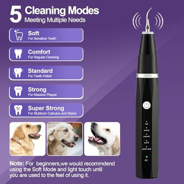Découvrez notre test du kit de nettoyage dentaire VVHOMIFE pour chien : efficacité, simplicité d'utilisation et astuces pour garder les dents de votre compagnon saines et propres.