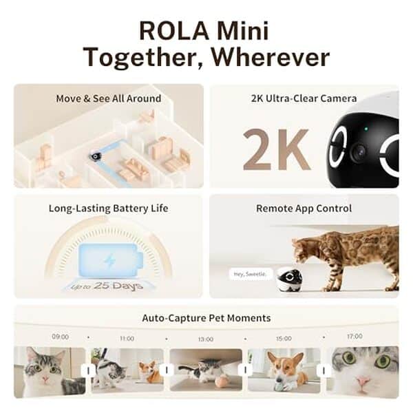 Découvrez notre évaluation de la caméra robot Enabot EBO ROLA Mini 2K et son impact sur le quotidien de vos animaux. Explorez ses fonctionnalités avancées et son design adapté à vos besoins.