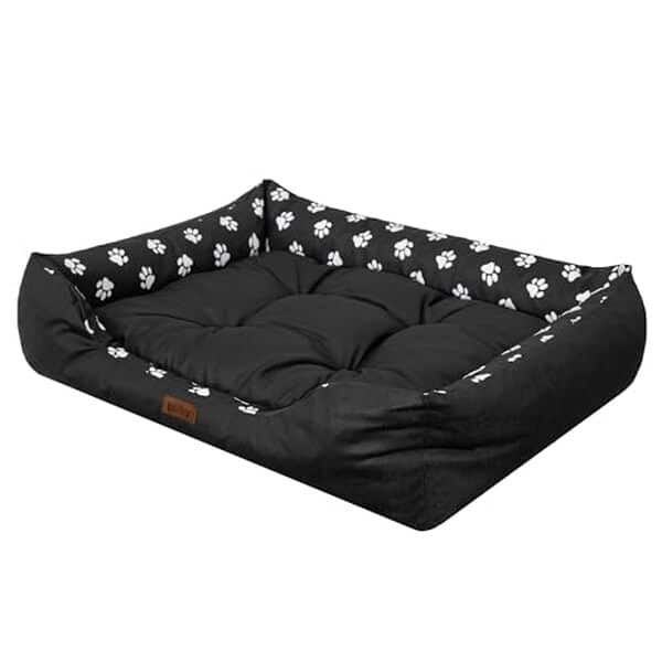Découvrez notre test détaillé du coussin DOGGY XL, idéal pour grands chiens, combinant confort et durabilité pour le bien-être de votre compagnon à quatre pattes