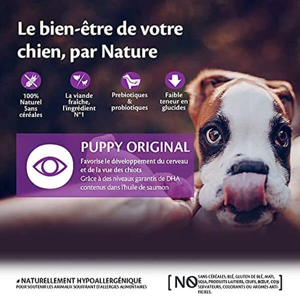 Découvrez notre avis sur les croquettes Wellness CORE pour chiots de petite et moyenne taille : composition, bienfaits et recommandations