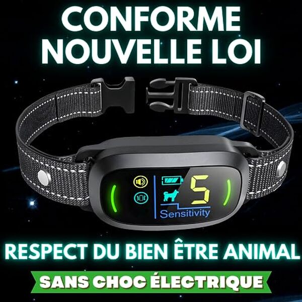 Découvrez l'efficacité du collier PawPro AI 2026 et son impact sur le bien-être animal : une solution moderne pour maîtriser les aboiements de votre chien sans compromettre son confort.