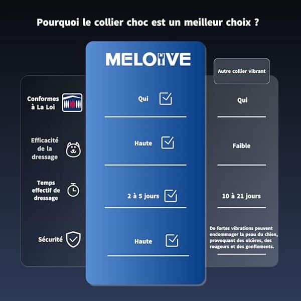 Découvrez l'efficacité et la polyvalence du collier anti-aboiement Meloive. Analyse des caractéristiques, avantages et conseils pour aider votre compagnon à retrouver son calme.