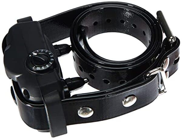 Découvrez notre test complet du collier-récepteur Dogtra YS 600 pour améliorer la vie avec votre chien. Efficacité, confort et sécurité décryptés.