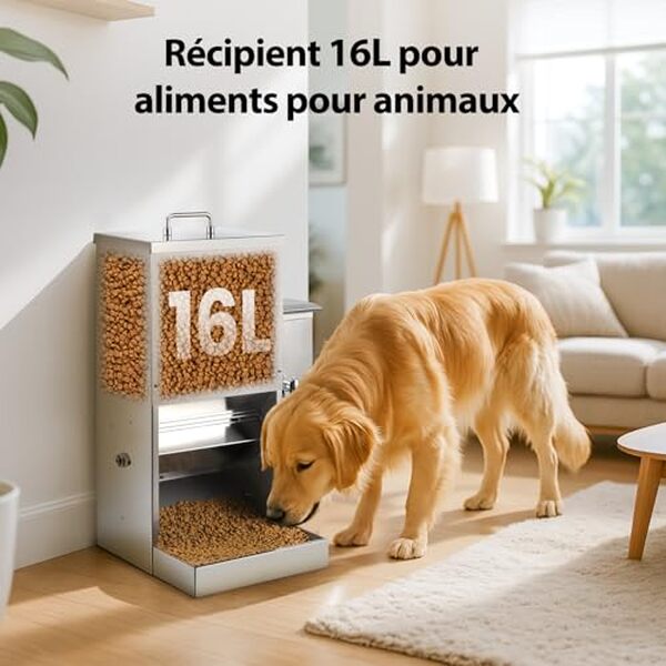Découvrez notre test du distributeur automatique de nourriture 16L pour chiens en acier inoxydable : efficacité, robustesse et avantages. Assurez une alimentation optimale pour vos animaux.